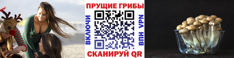 Псилоцибиновые грибы GOLDEN TEACHER  Урюпинск 