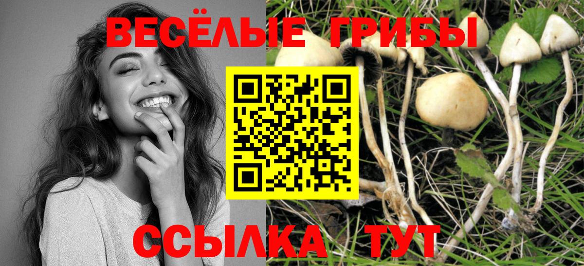 Псилоцибиновые грибы Psilocybe  Галлюциногенные грибы ЛСД  Урюпинск 